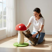 Indoor cat climbing tree for scratching stretching and active play