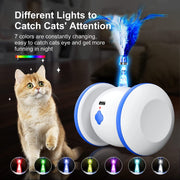 Interactive rolling cat toy for indoor cats and kittens