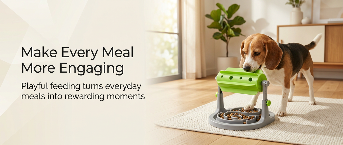 Dog playing and eating with a green and gray interactive slow feeder at home