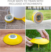 Interactive dog exercise toy with remote treat dispenser