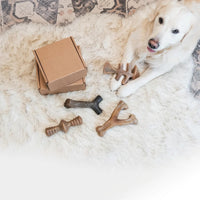 Medium dog toy designed for chewing and interactive play