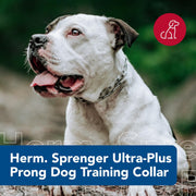 Adjustable steel training collar designed for appropriately sized medium and large dogs