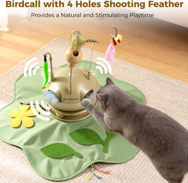 Interactive enrichment and activity toy for indoor cats and kittens