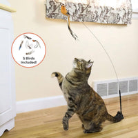 Interactive feather toy providing cat enrichment