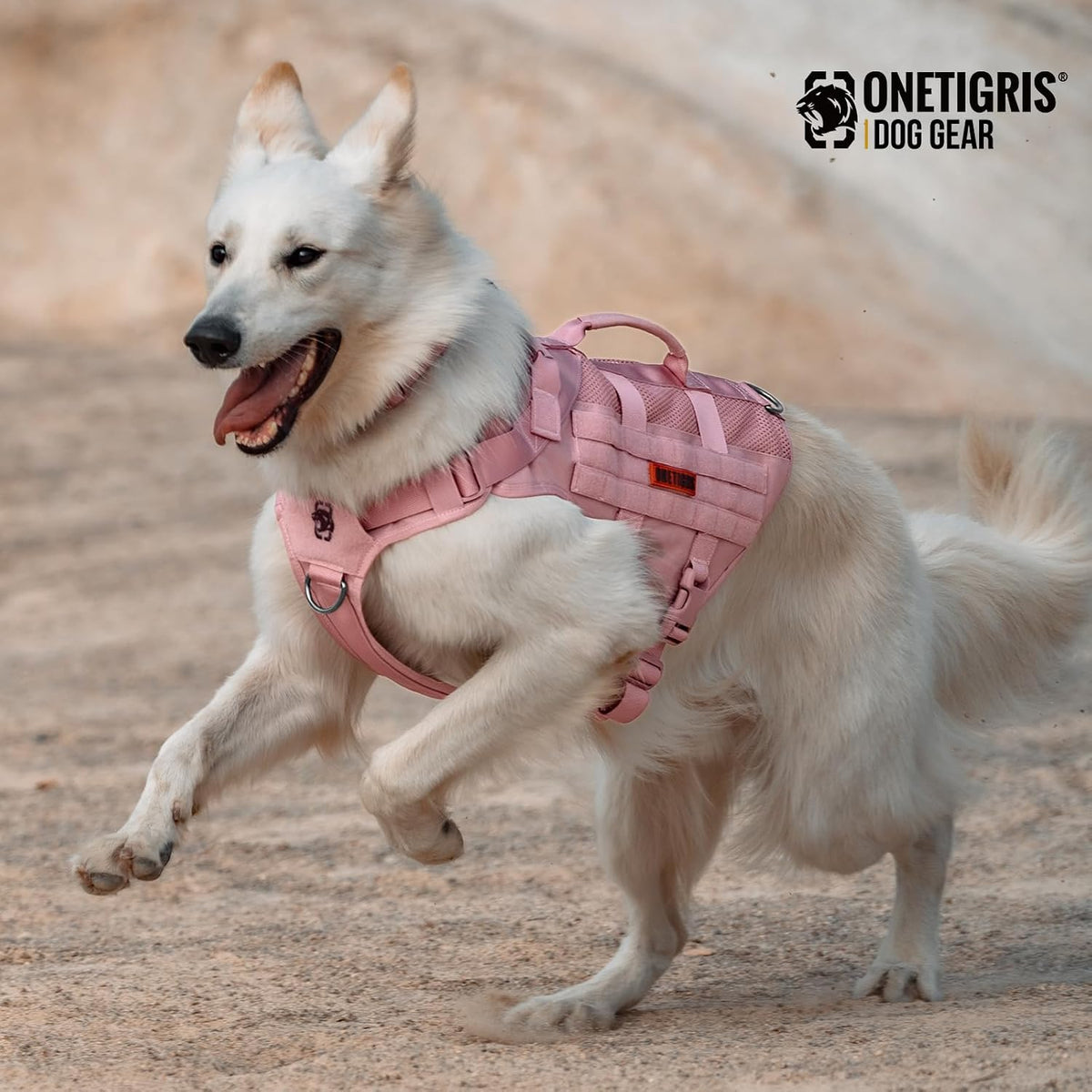 Military style tactical dog vest harness with Molle attachment design