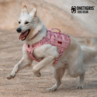 Military style tactical dog vest harness with Molle attachment design
