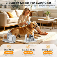 Pet grooming vacuum kit with nail grinder for routine dog and cat nail care