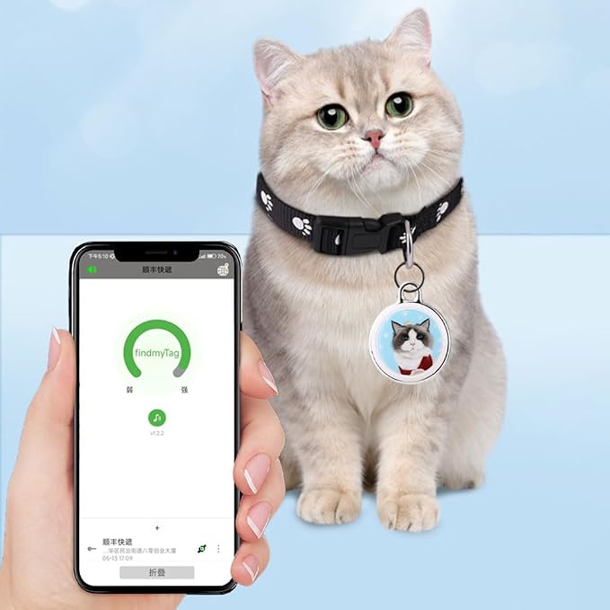 Pet GPS tracker with no monthly fees for everyday location monitoring
