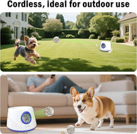 Interactive dog ball launcher for garden and outdoor fetch games