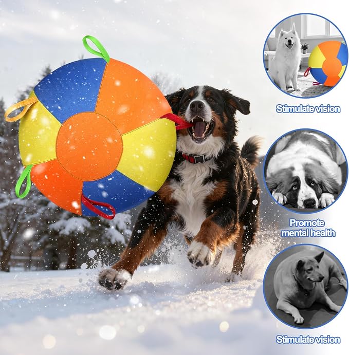 Outdoor dog exercise ball for active medium and large dogs