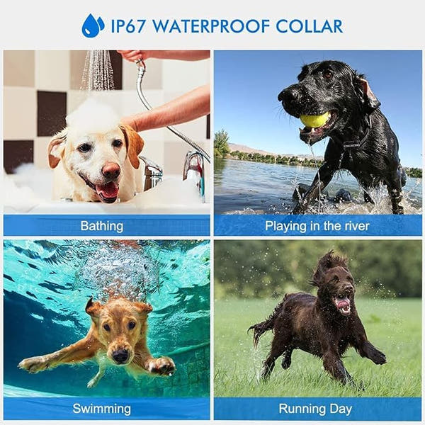 Adjustable waterproof dog collar designed for training