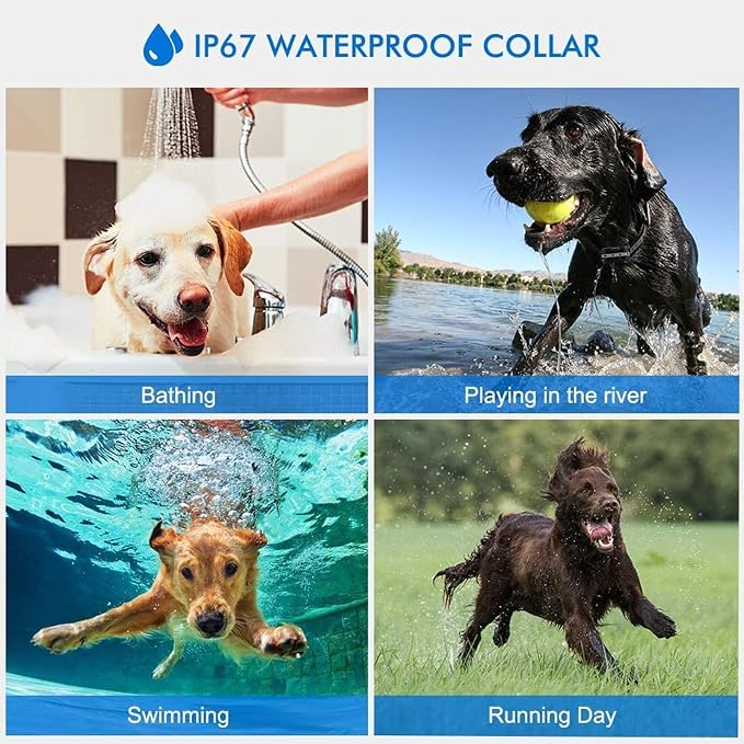Adjustable waterproof dog collar designed for training