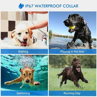 Adjustable waterproof dog collar designed for training