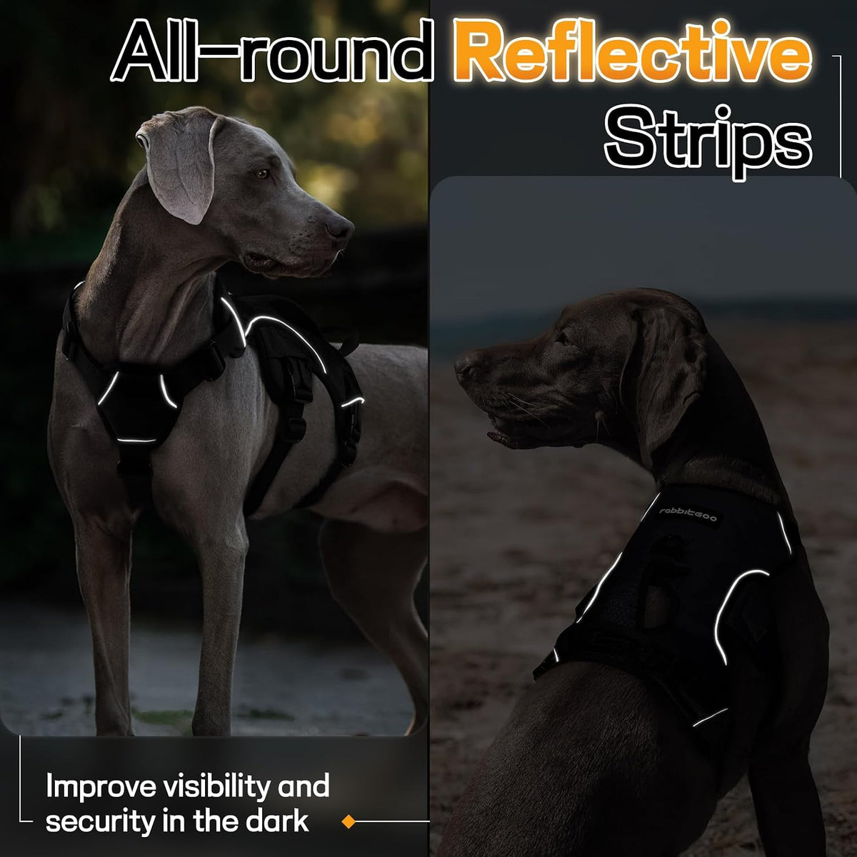 Large dog tactical harness suitable for powerful breeds