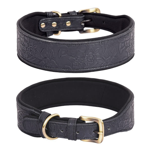 Comfortable leather dog collar for walking training and outdoor activities