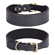 Comfortable leather dog collar for walking training and outdoor activities
