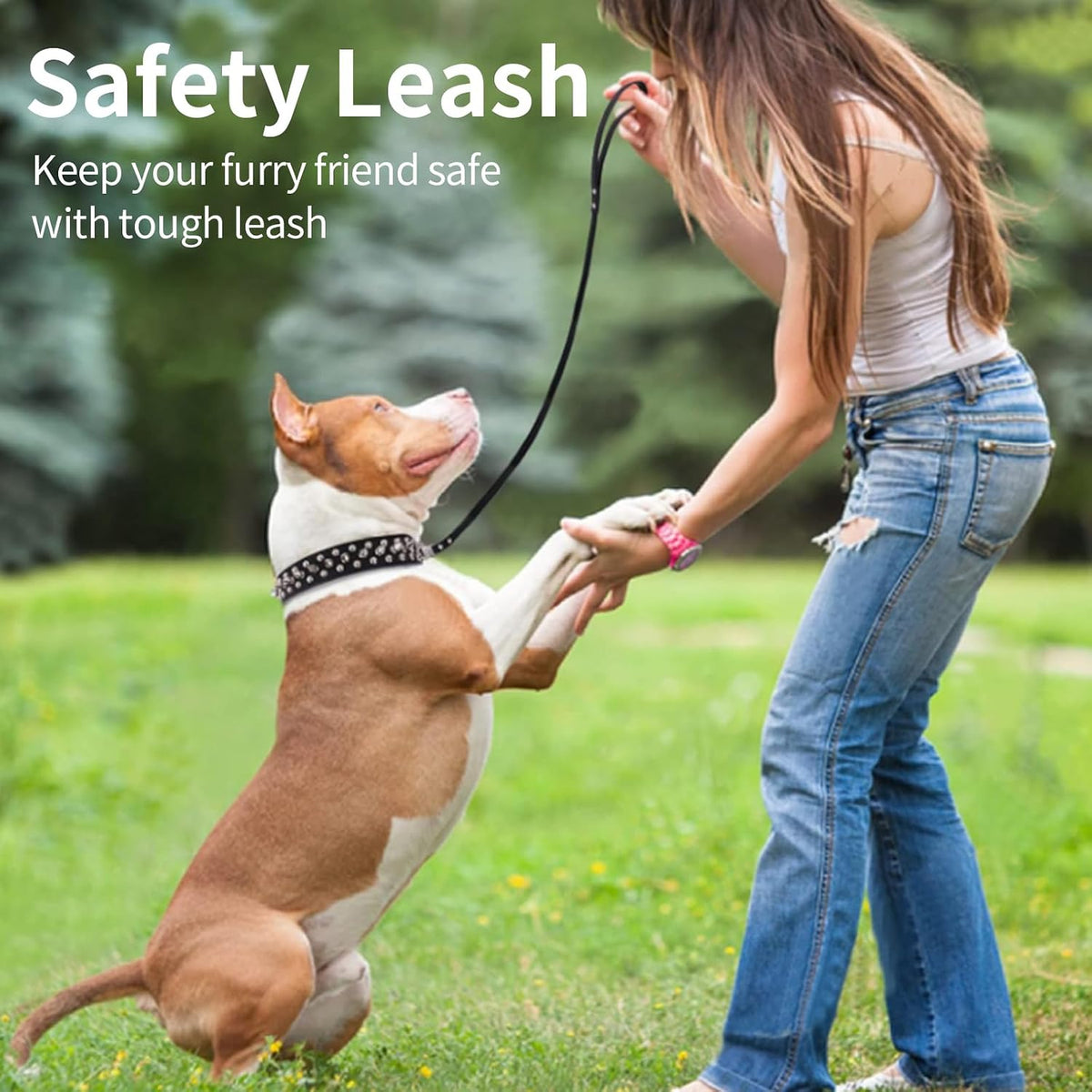 Dog walking collar designed for everyday outdoor activities