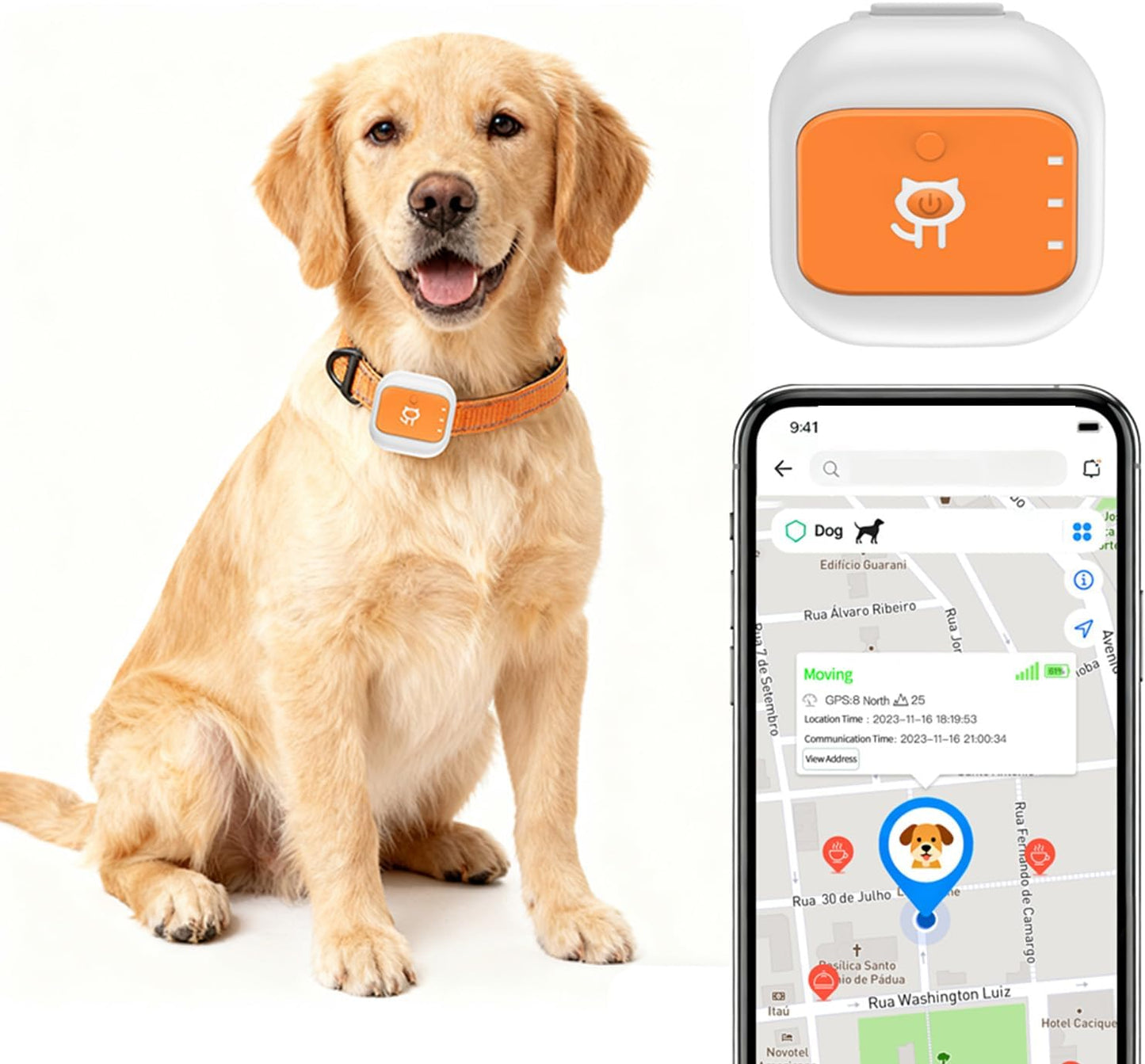 Pet activity tracker with location and daily movement monitoring