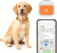 Pet activity tracker with location and daily movement monitoring
