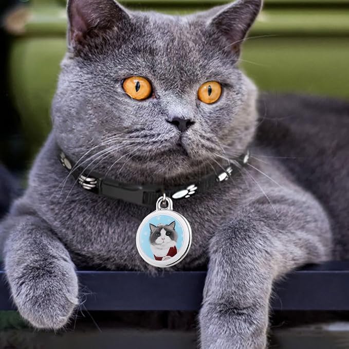 Pet collar GPS tracker for real-time cat and dog location monitoring