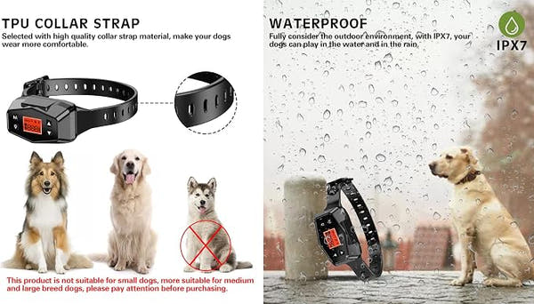 Pet collar system with smart GPS positioning and training features