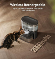 Pet drinking dispenser providing convenient water for cats