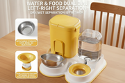 Pet feeder bowl with integrated water dispenser for dogs and cats