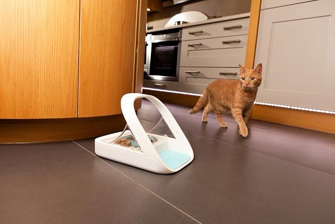 Pet feeder stainless steel bowl set for everyday cat and dog feeding