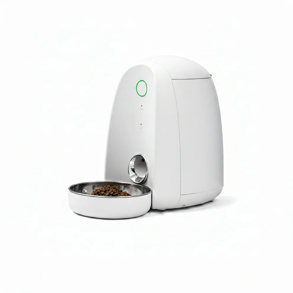 Pet food dispenser for cats and dogs with automatic feeding
