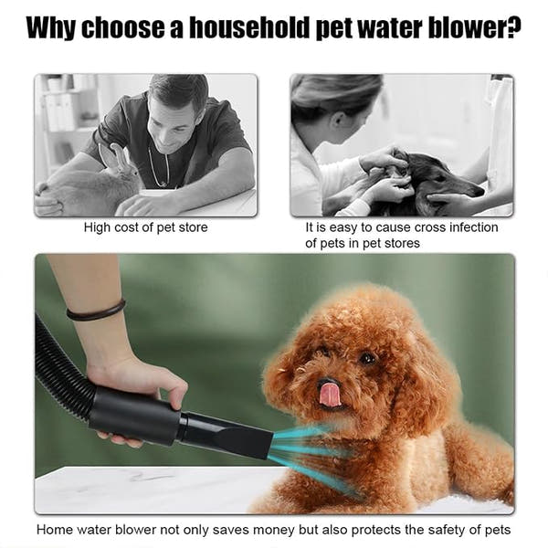 Pet grooming dryer for drying wet dog and cat fur