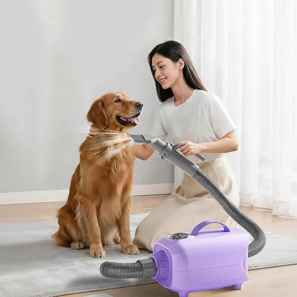 Pet hair dryer blower for drying wet dog and pet fur