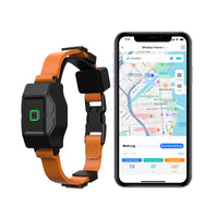 Pet tracker system for monitoring dog location and movement