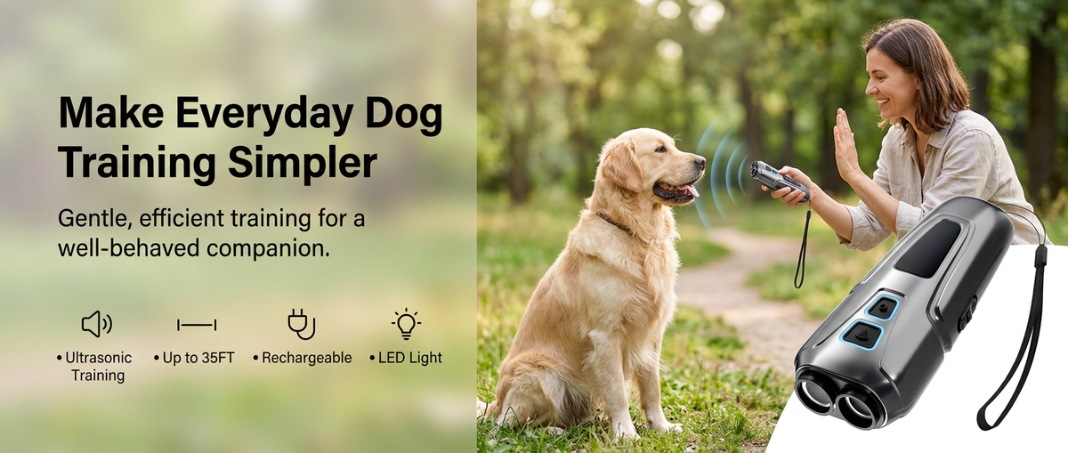 
Dog owner actively using a rechargeable portable ultrasonic dog training and bark deterrent device with a dog in a park.