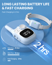 Wireless dog training collar with rechargeable battery and remote control charging system