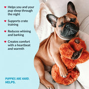 Soft puppy comfort toy with heartbeat feature for bedtime and crate use