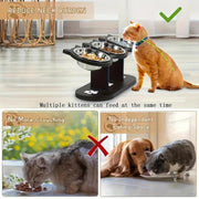 Puppy feeding bowl with lightweight raised pet feeder stand