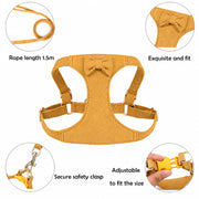 Puppy walking harness with adjustable fit and traction rope