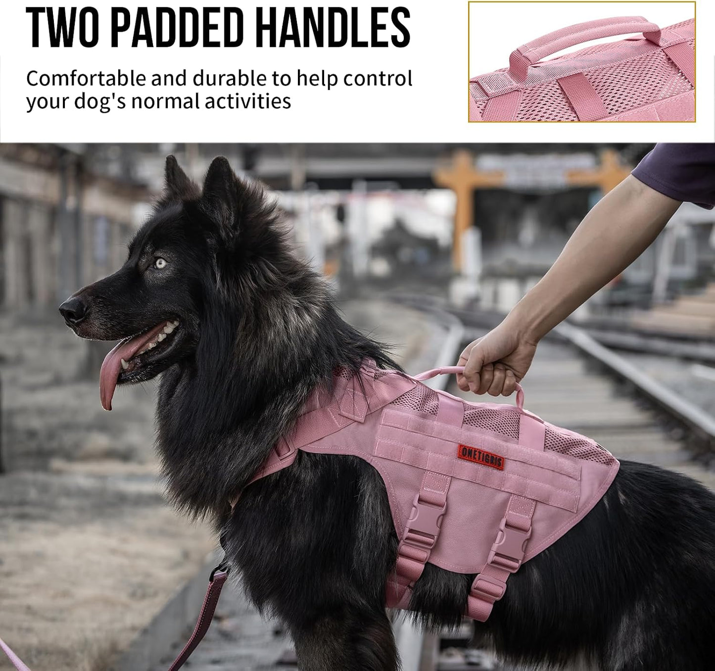 Small dog harness with top handle for better handling and control