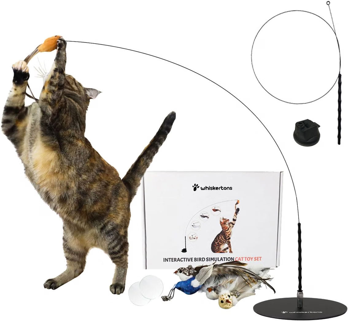 Interactive bird simulation toy for indoor cats