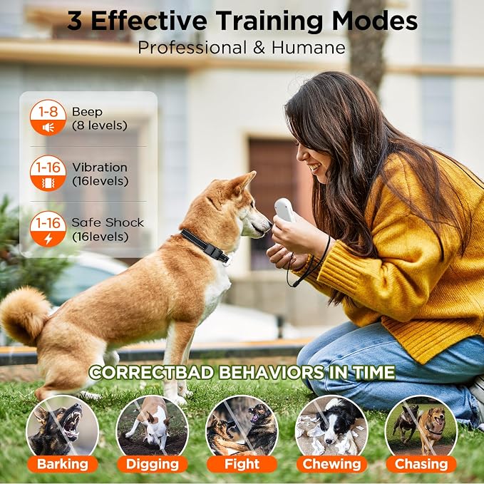 Rechargeable remote dog training collar for everyday use