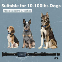 Rechargeable electric dog training collar with wireless remote controller