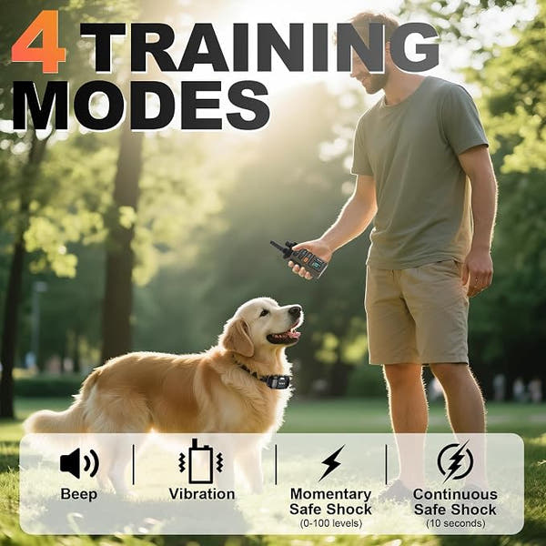 Rechargeable remote dog training collar for everyday obedience training