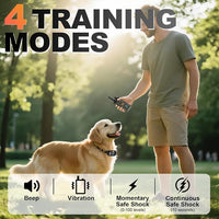 Rechargeable remote dog training collar for everyday obedience training