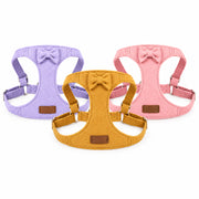 Reflective dog harness with 360 degree light design for puppies and small dogs