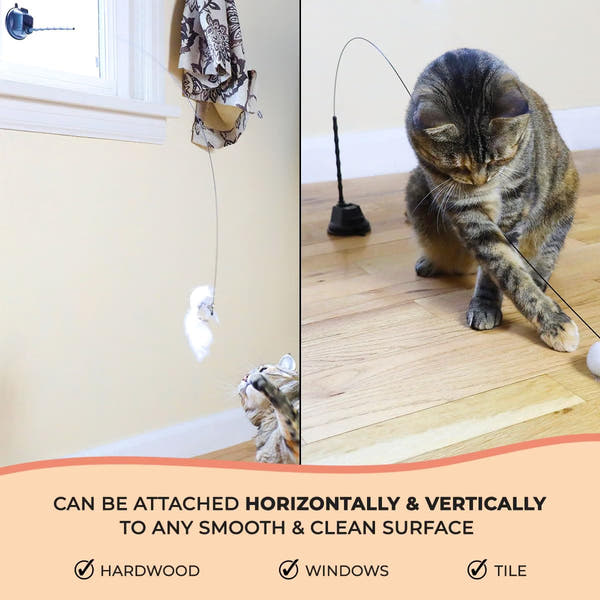 Cat toy set with replacement bird attachments