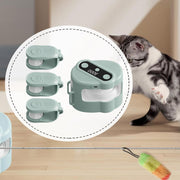 Interactive remote control cat toy for indoor play