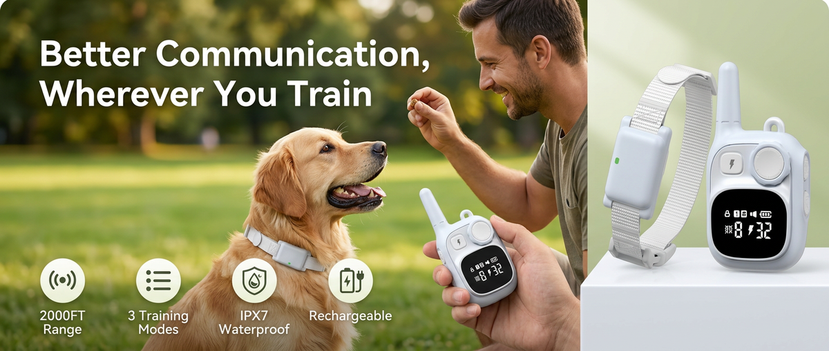 Owner training a happy dog outdoors using a white 2000FT rechargeable remote dog training colla