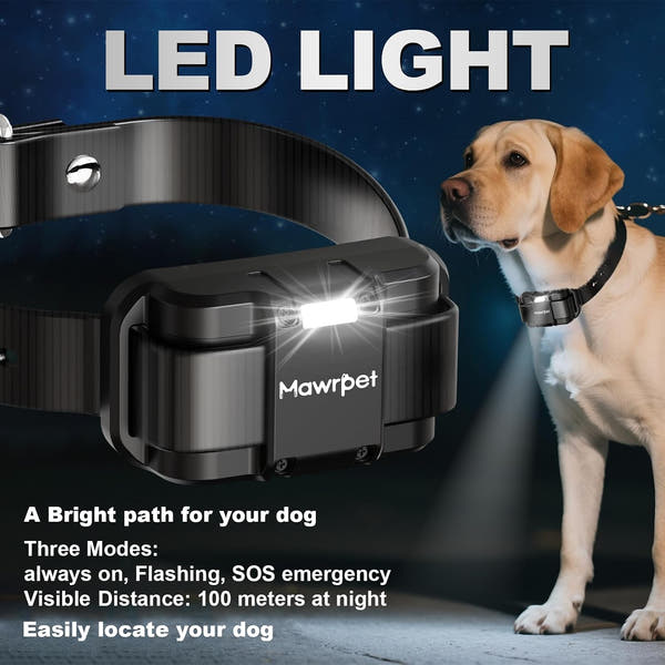 Rechargeable remote dog collar for obedience recall and behaviour training
