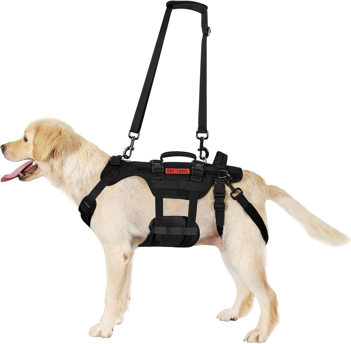 Large dog lift harness featuring supportive lifting handles