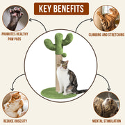 Vertical cat scratching post for scratching stretching and play